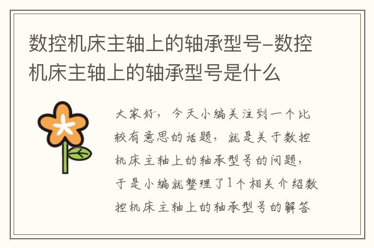 数控机床主轴上的轴承型号-数控机床主轴上的轴承型号是什么