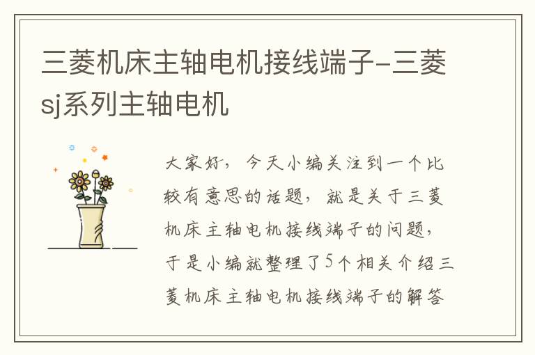 三菱机床主轴电机接线端子-三菱sj系列主轴电机