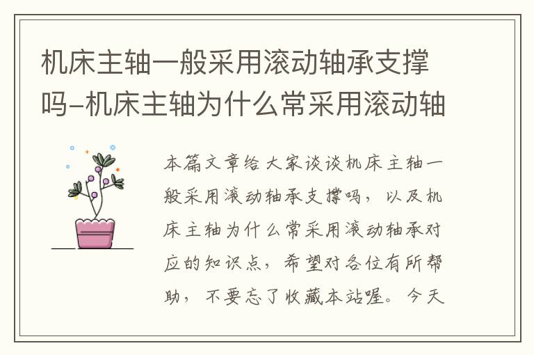 机床主轴一般采用滚动轴承支撑吗-机床主轴为什么常采用滚动轴承