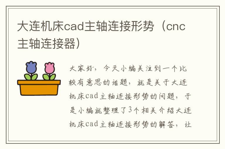 大连机床cad主轴连接形势(cnc主轴连接器)