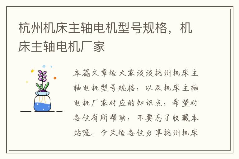 杭州机床主轴电机型号规格,机床主轴电机厂家