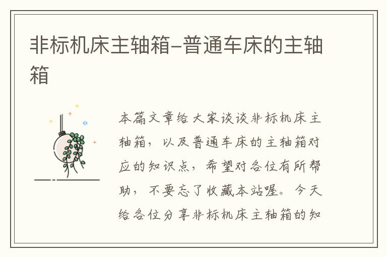 非标机床主轴箱-普通车床的主轴箱
