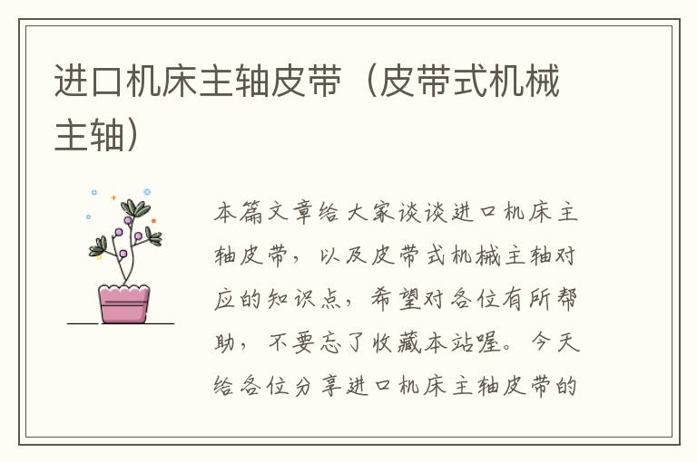 进口机床主轴皮带(皮带式机械主轴)