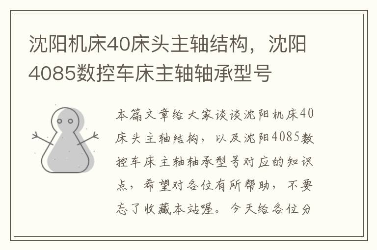 沈阳机床40床头主轴结构,沈阳4085数控车床主轴轴承型号