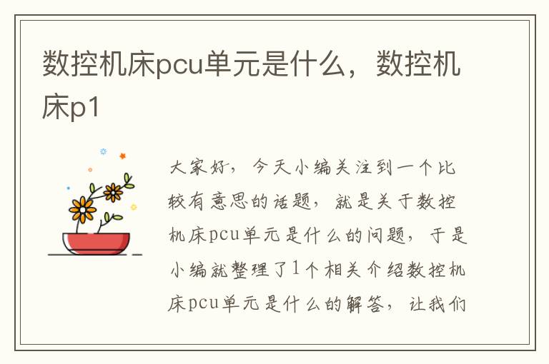 数控机床pcu单元是什么,数控机床p1