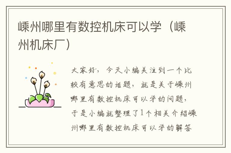 嵊州哪里有数控机床可以学（嵊州机床厂）
