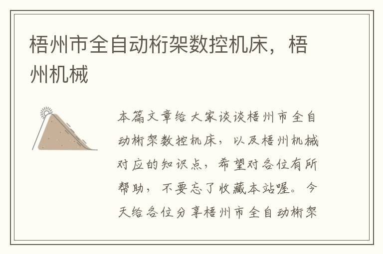 梧州市全自动桁架数控机床,梧州机械