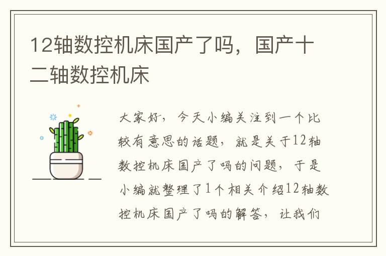 12轴数控机床国产了吗,国产十二轴数控机床