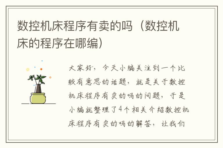 数控机床程序有卖的吗(数控机床的程序在哪编)
