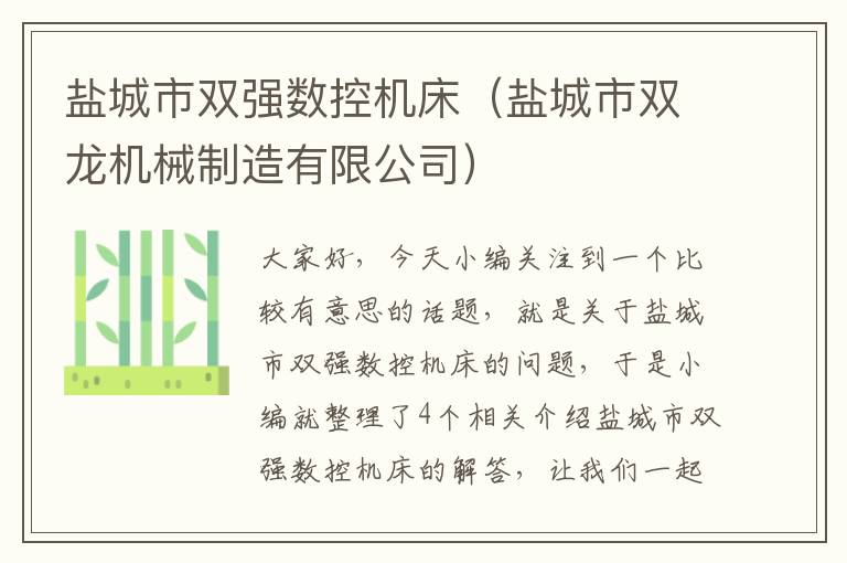 盐城市双强数控机床(盐城市双龙机械制造有限公司)