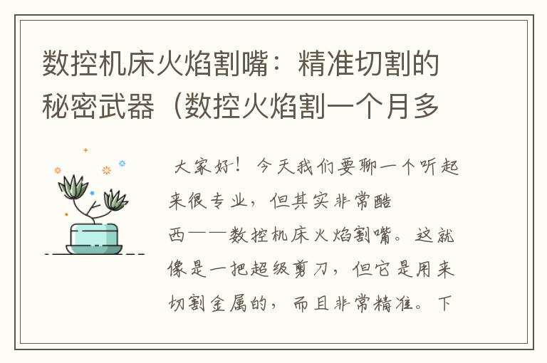 数控机床火焰割嘴:精准切割的秘密武器(数控火焰割一个月多少钱)