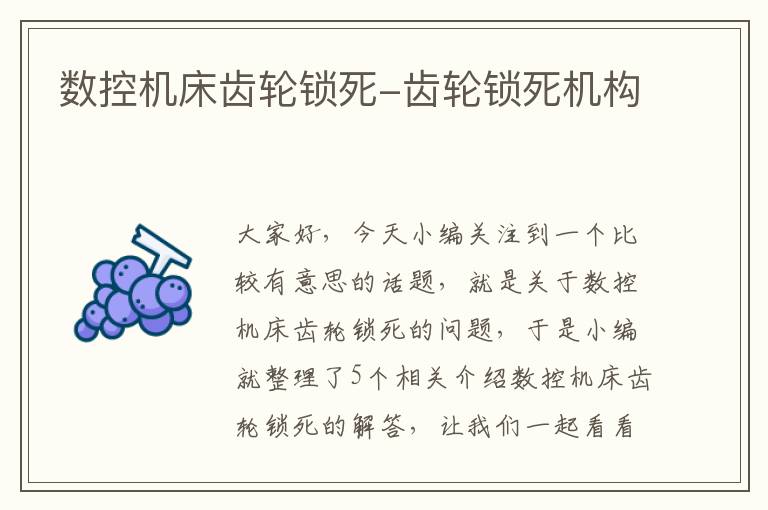 数控机床齿轮锁死-齿轮锁死机构