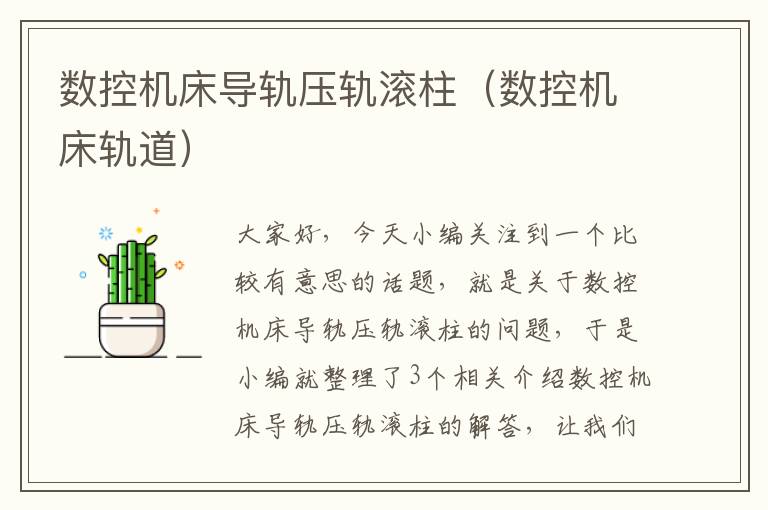 数控机床导轨压轨滚柱(数控机床轨道)