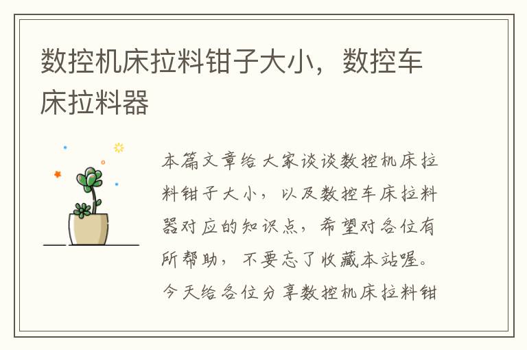 数控机床拉料钳子大小,数控车床拉料器
