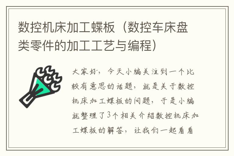 数控机床加工蝶板(数控车床盘类零件的加工工艺与编程)