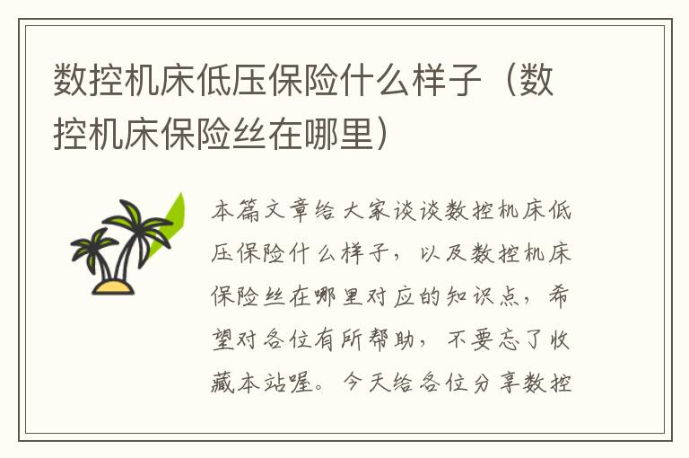 数控机床低压保险什么样子(数控机床保险丝在哪里)