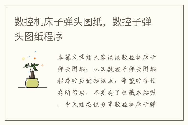 数控机床子弹头图纸，数控子弹头图纸程序