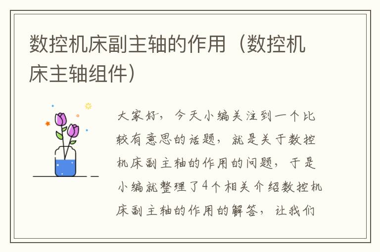 数控机床副主轴的作用(数控机床主轴组件)