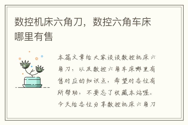 数控机床六角刀,数控六角车床哪里有售