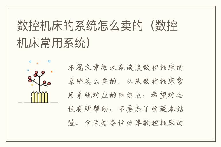 数控机床的系统怎么卖的（数控机床常用系统）