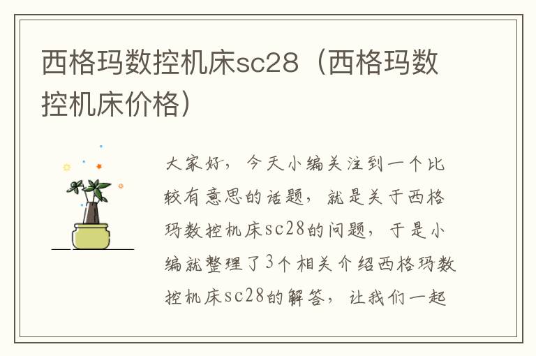 西格玛数控机床sc28(西格玛数控机床价格)