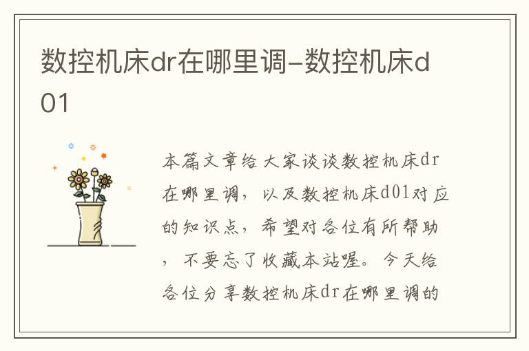 数控机床dr在哪里调-数控机床d01