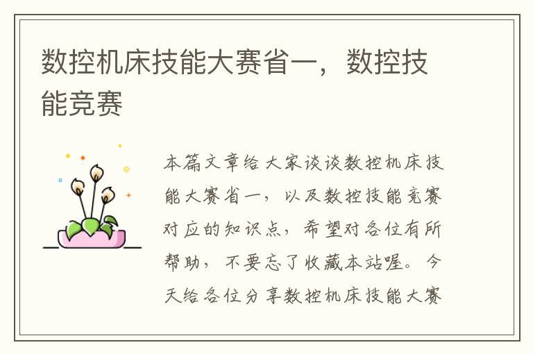 数控机床技能大赛省一,数控技能竞赛