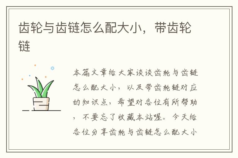 齿轮与齿链怎么配大小,带齿轮链