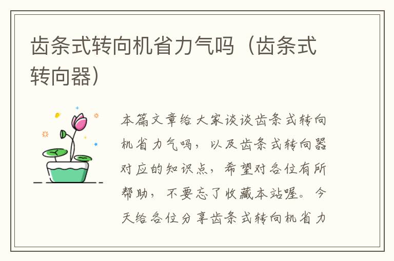 齿条式转向机省力气吗(齿条式转向器)