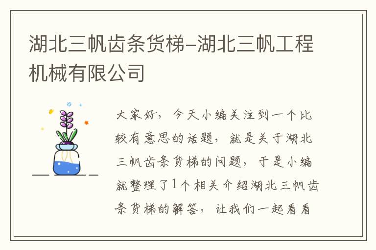 湖北三帆齿条货梯-湖北三帆工程机械有限公司