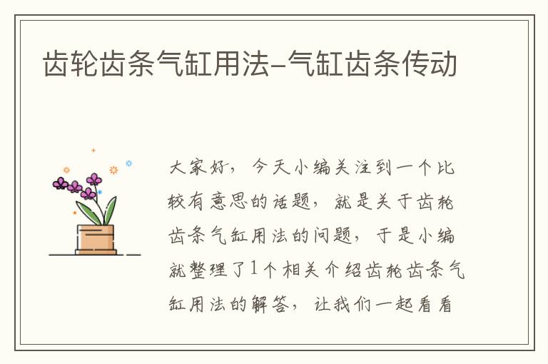 齿轮齿条气缸用法-气缸齿条传动