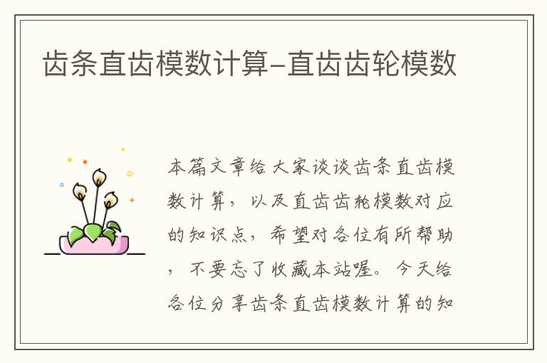 齿条直齿模数计算-直齿齿轮模数