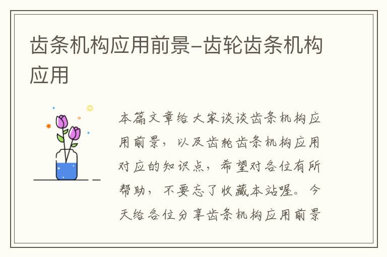 齿条机构应用前景-齿轮齿条机构应用