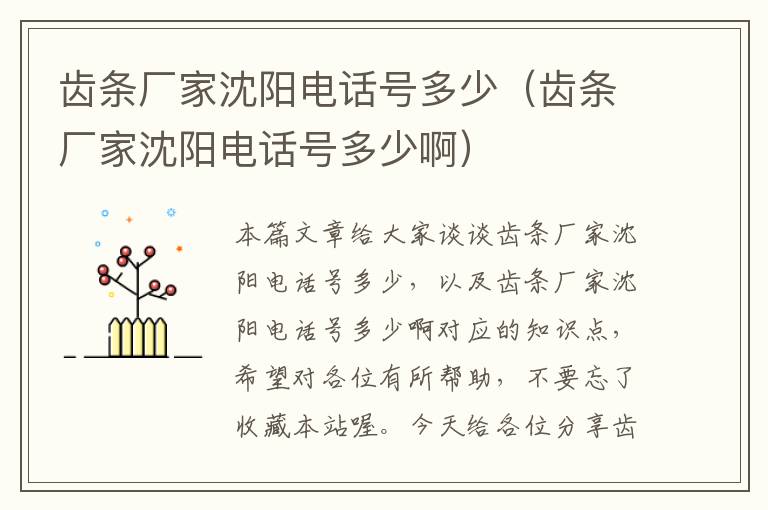 齿条厂家沈阳电话号多少(齿条厂家沈阳电话号多少啊)
