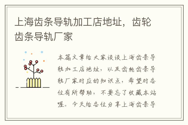 上海齿条导轨加工店地址,齿轮齿条导轨厂家