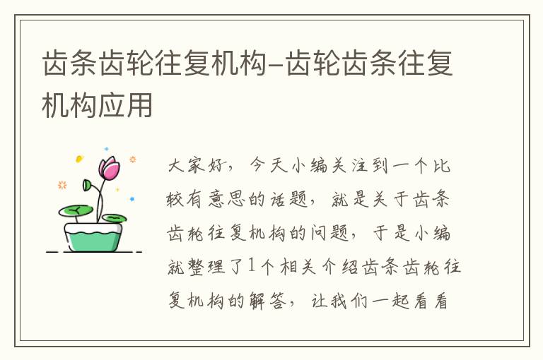 齿条齿轮往复机构-齿轮齿条往复机构应用