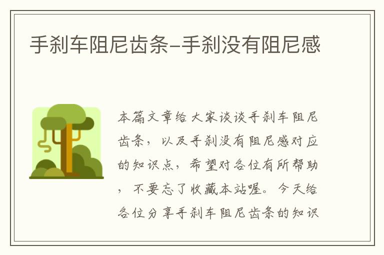 手刹车阻尼齿条-手刹没有阻尼感