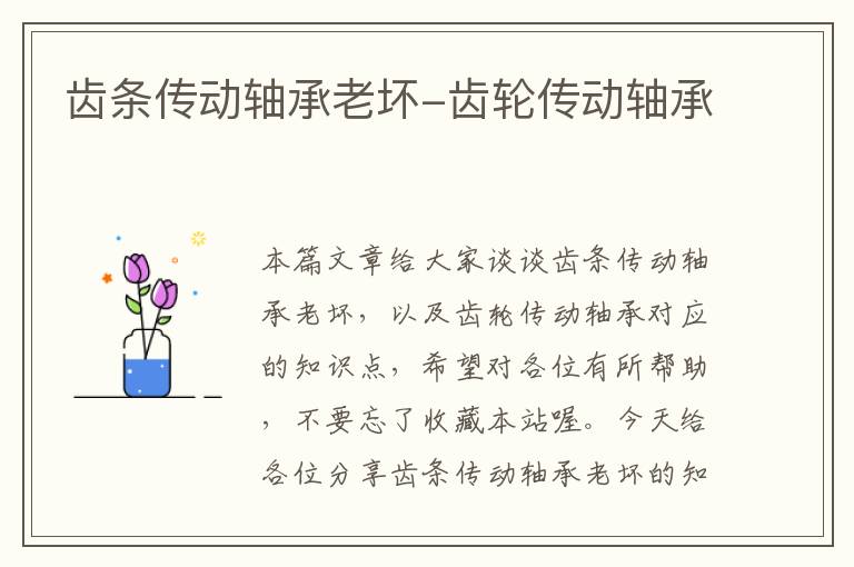 齿条传动轴承老坏-齿轮传动轴承