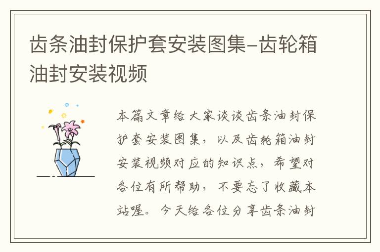 齿条油封保护套安装图集-齿轮箱油封安装视频