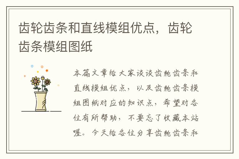 齿轮齿条和直线模组优点,齿轮齿条模组图纸