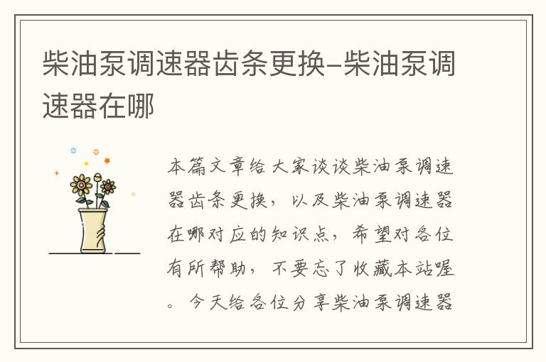 柴油泵调速器齿条更换-柴油泵调速器在哪