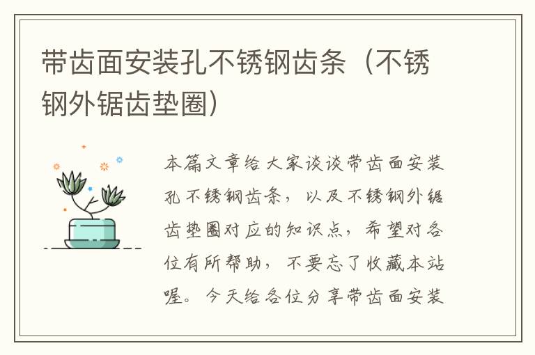 带齿面安装孔不锈钢齿条(不锈钢外锯齿垫圈)