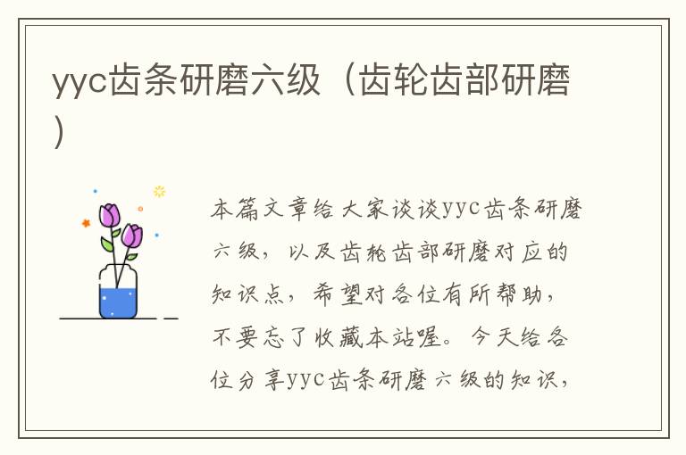 yyc齿条研磨六级(齿轮齿部研磨)