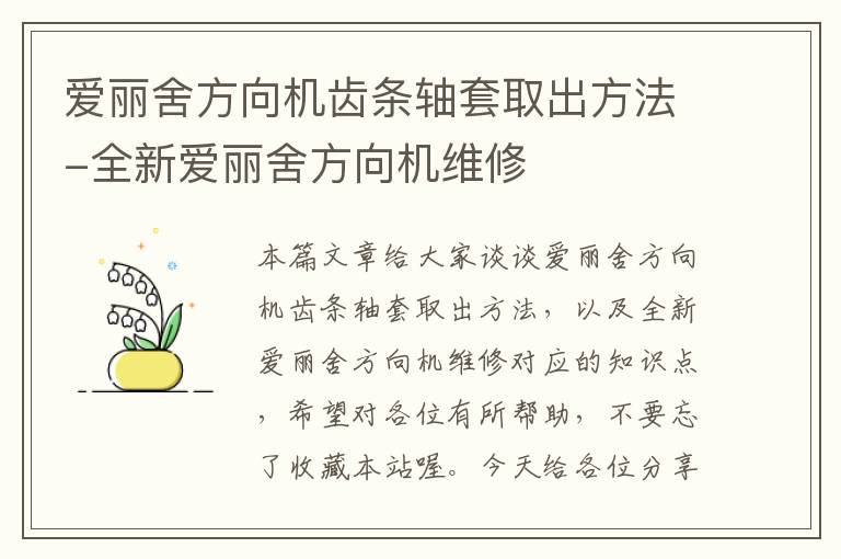 爱丽舍方向机齿条轴套取出方法-全新爱丽舍方向机维修