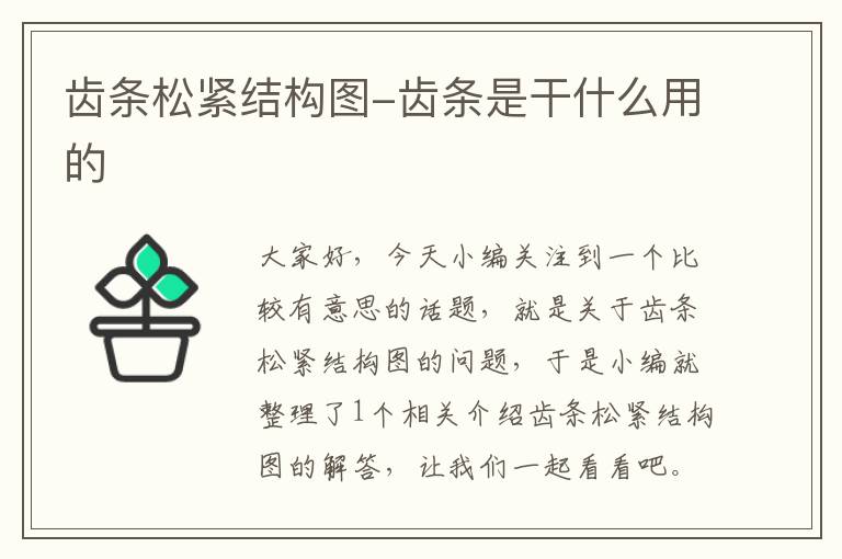 齿条松紧结构图-齿条是干什么用的
