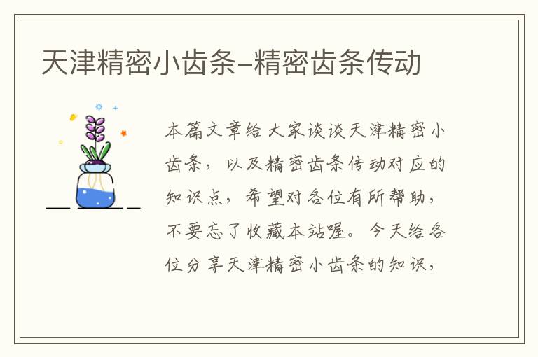天津精密小齿条-精密齿条传动