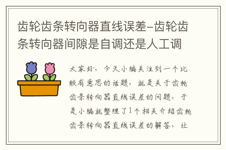 齿轮齿条转向器直线误差-齿轮齿条转向器间隙是自调还是人工调整
