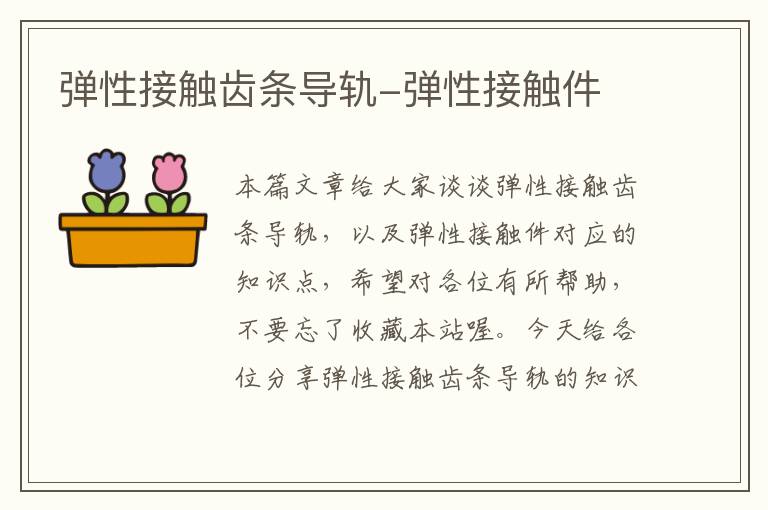 弹性接触齿条导轨-弹性接触件