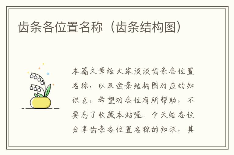 齿条各位置名称(齿条结构图)