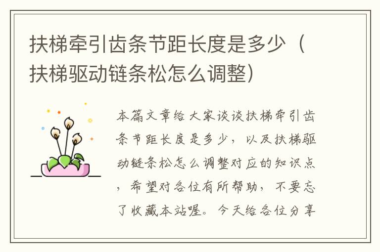 扶梯牵引齿条节距长度是多少(扶梯驱动链条松怎么调整)